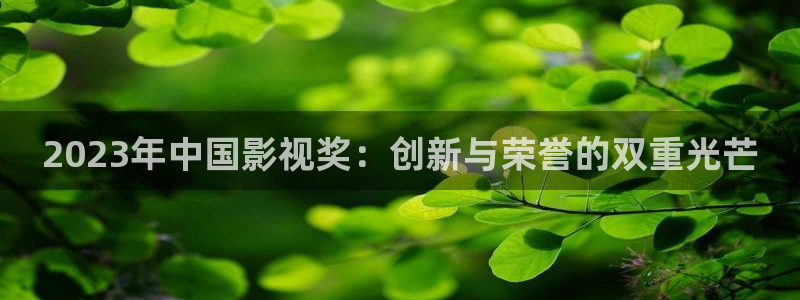 玫瑰的故事全能影视：2023年中国影视奖：创新与荣誉的双重光芒