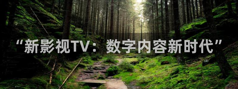 全能影视app下载：“新影视TV：数字内容新时代”