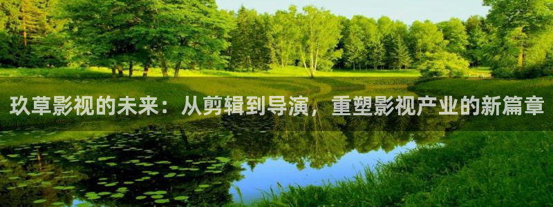 全能视频：玖草影视的未来：从剪辑到导演，重塑影视产业的新篇章