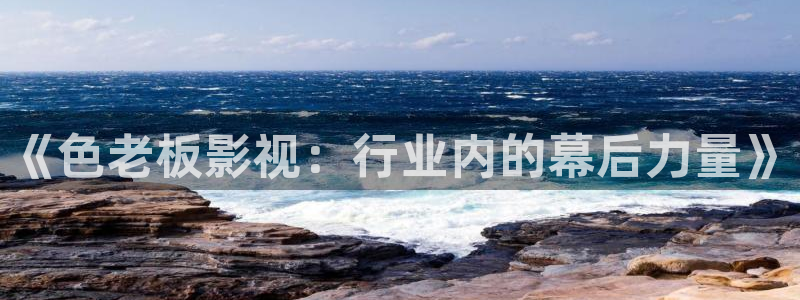 影视全能：《色老板影视：行业内的幕后力量》