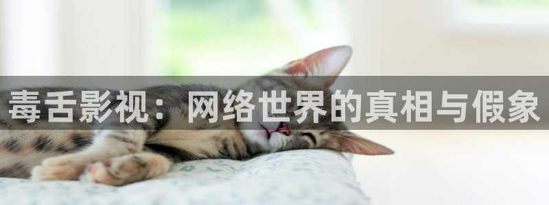 全能影视免费观看电影大全：毒舌影视：网络世界的真相与假象