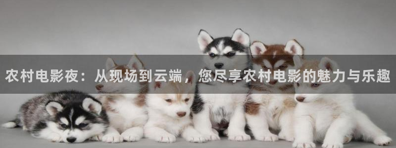 全能影视大全：农村电影夜：从现场到云端，您尽享农村电影的魅力与乐趣