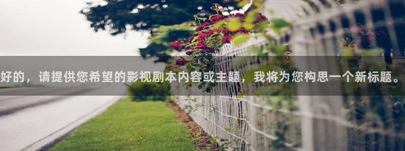 全能的影视软件：好的，请提供您希望的影视剧本内容或主题，我将为您构思一个新标题。